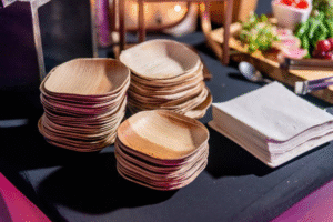 eco friendly disposable plates