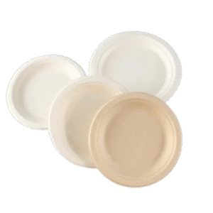 disposable round plates