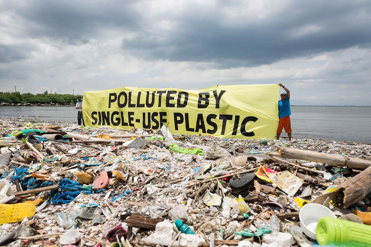 pollution caused on eco system
