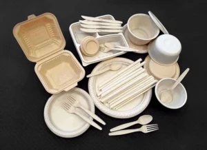 Biodegradable products Maharashtra