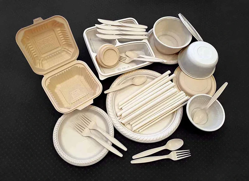 Biodegradable products Maharashtra